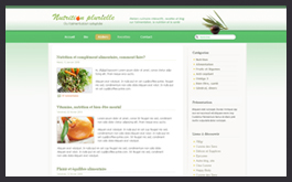 Website design proposal